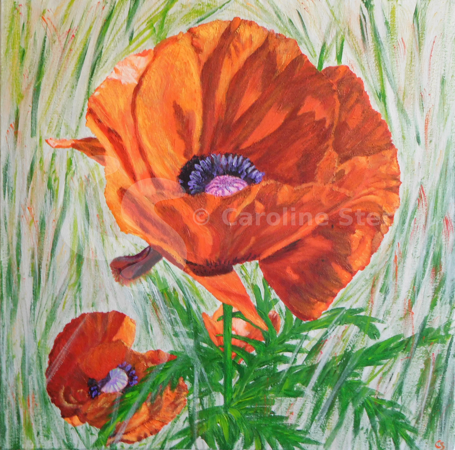 Painting: Oriental Poppy 1